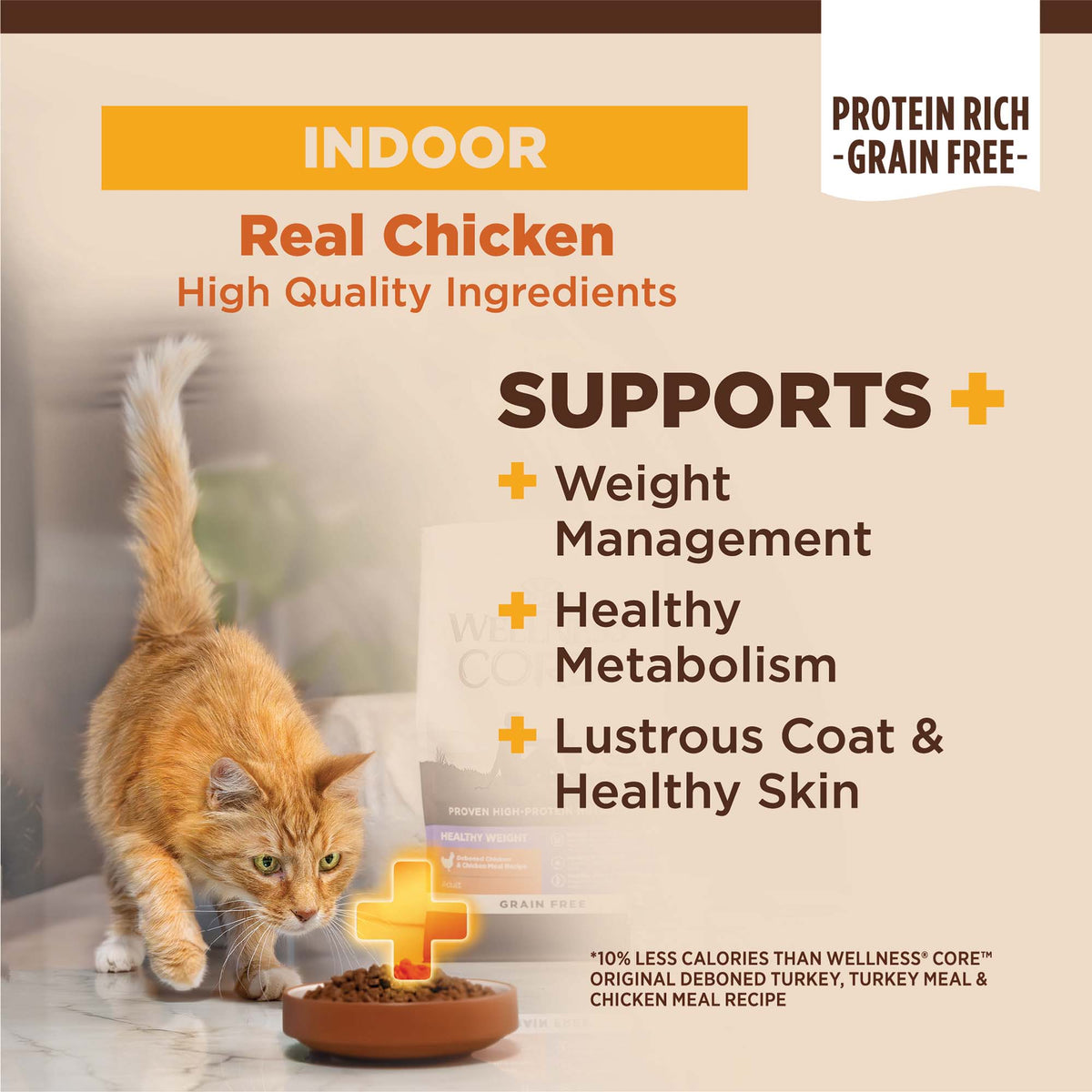 Wellness CORE+ Indoor Chicken & Turkey Grain Free Dry Cat Food 11LB