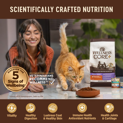 Wellness CORE+ Indoor Chicken & Turkey Grain Free Dry Cat Food 11LB