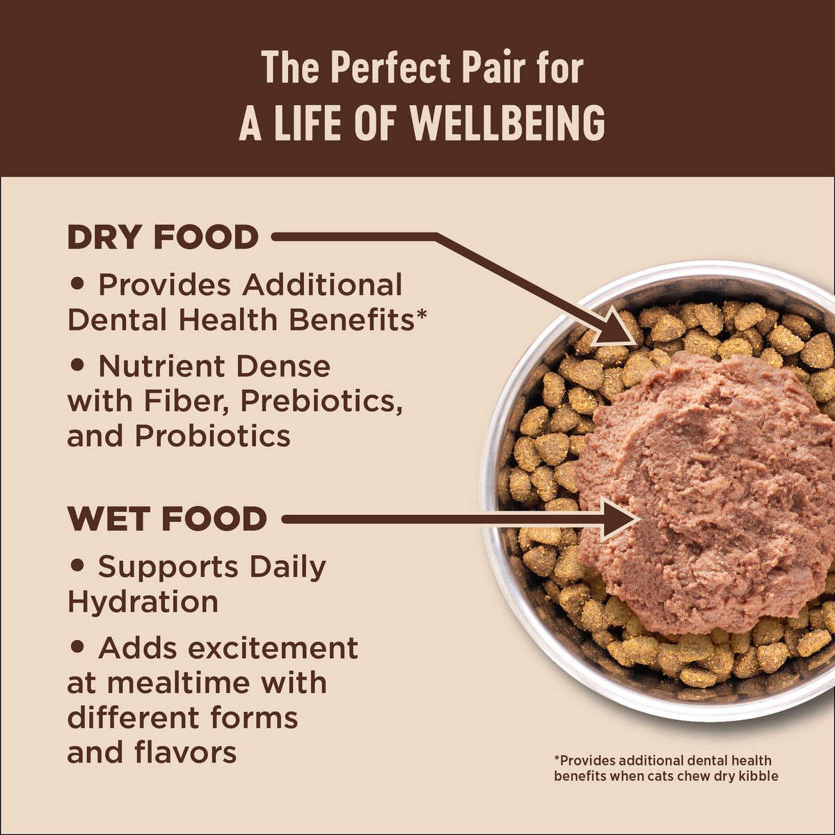 Wellness CORE+ Indoor Salmon & Herring Grain Free Dry Cat Food 5LB