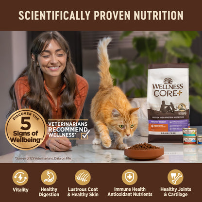 Wellness CORE+ Indoor Salmon & Herring Grain Free Dry Cat Food 11LB