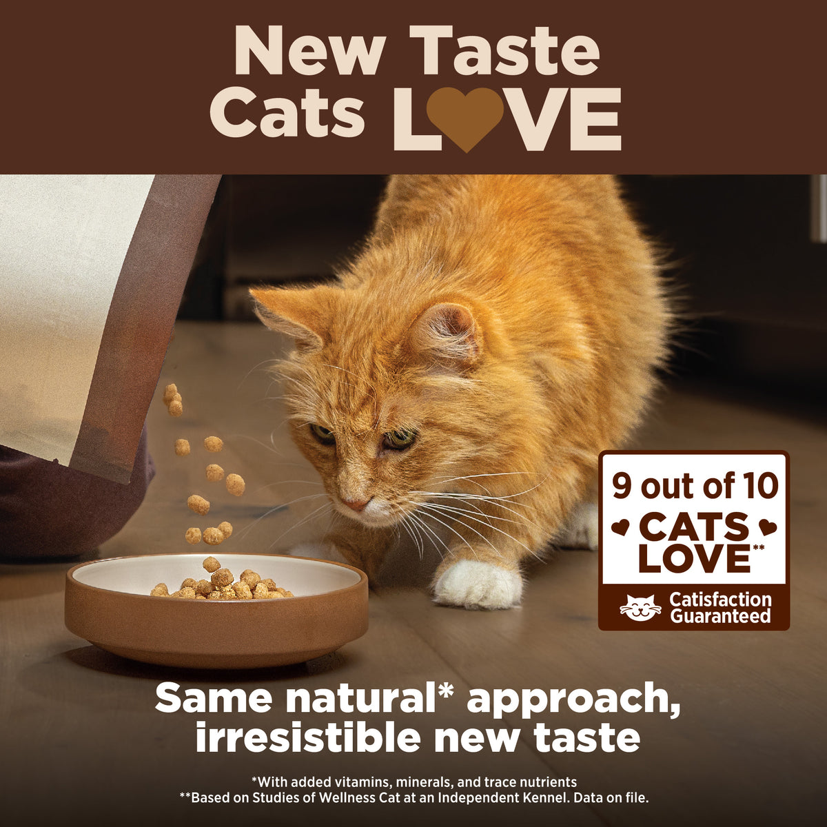 Wellness CORE+ Indoor Chicken & Turkey Grain Free Dry Cat Food 5LB