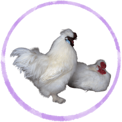 Mazuri Exotic Gamebird Starter – Complete Nutrition for Young Ornamental Birds