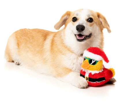 FuzzYard Christmas Quacker Plush Dog Toy Small