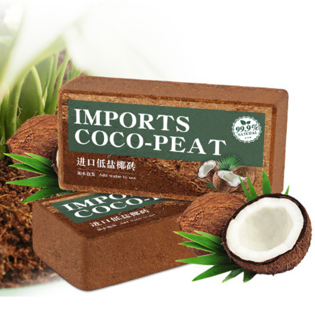 Coco Peat Substrate for Small Pets – Natural Bedding & Digging Soil