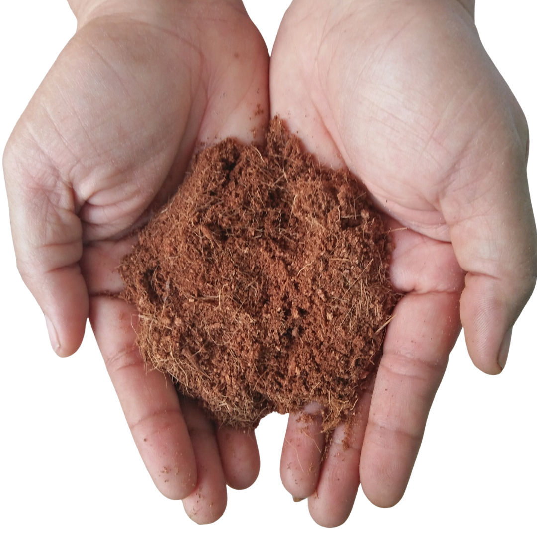 Coco Peat Substrate for Small Pets – Natural Bedding & Digging Soil