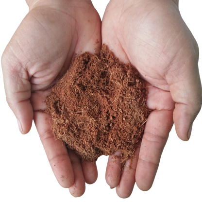 Coco Peat Substrate for Small Pets – Natural Bedding & Digging Soil