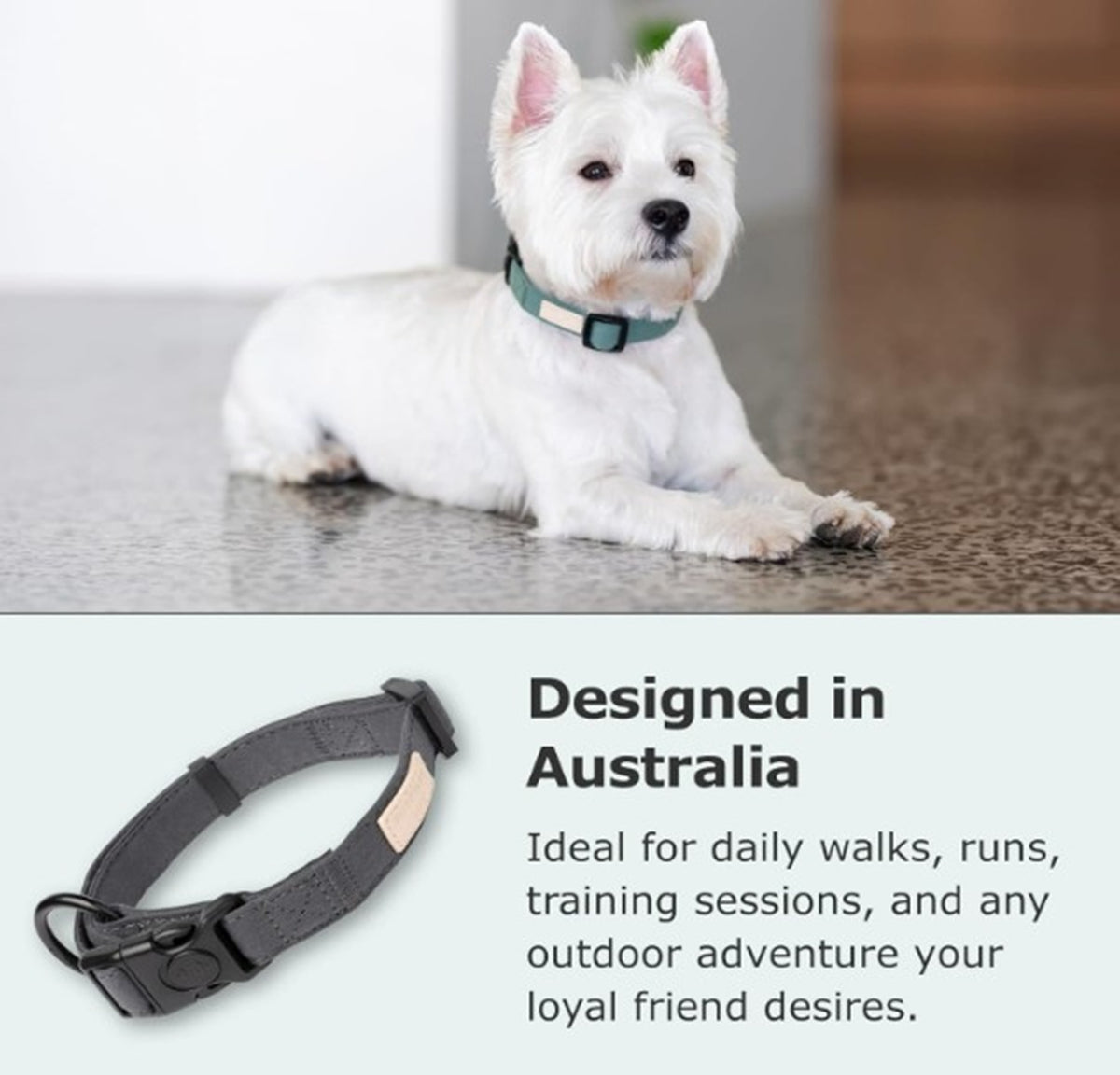 FuzzYard Life Dog Collar Soft Cotton Adjustable Collar for Dogs - French Blue