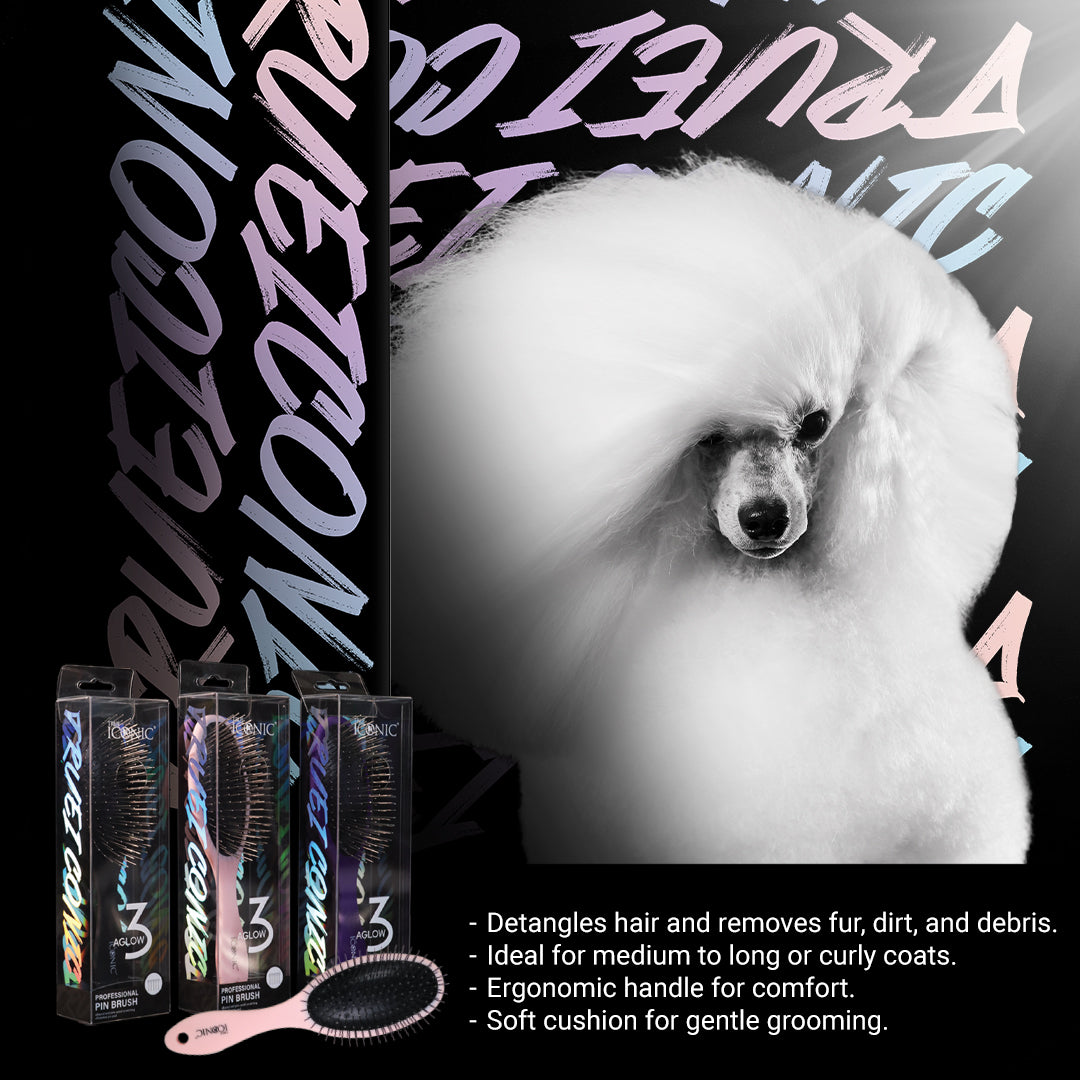 True Iconic Aglow Pin Brush Dog Grooming Brush with Stainless Steel Pins (3 Colors)