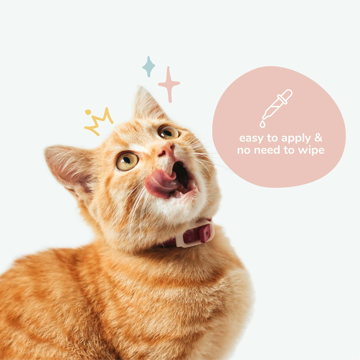 kin+kind Natural Kitty Ear Cleaner Leave In Cat Ear Cleaner 4oz