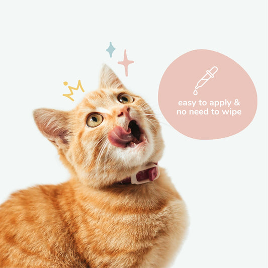 kin+kind Natural Kitty Ear Cleaner Leave In Cat Ear Cleaner 4oz
