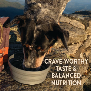 Wellness CORE Lamb & Lamb Meal Grain Free Adult Dry Dog Food