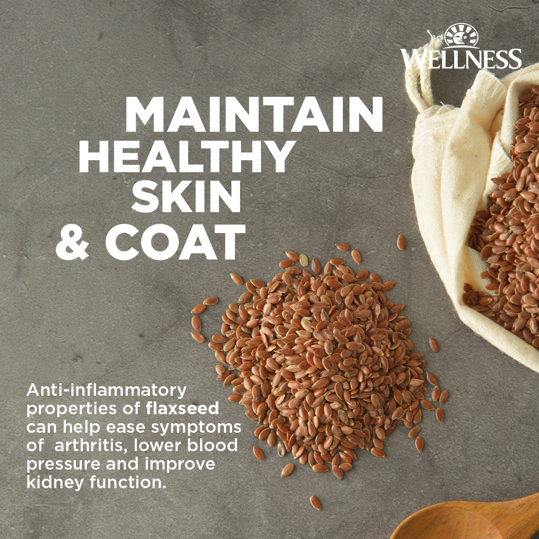 Wellness CORE Lamb & Lamb Meal Grain Free Adult Dry Dog Food