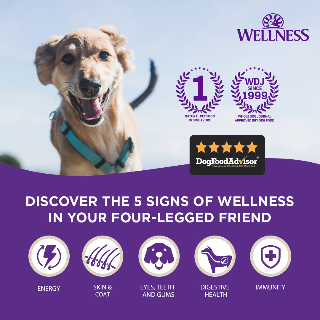 Wellness CORE Digestive Health Chicken & Brown Rice Small Breed Adult Dry Dog Food 12LB