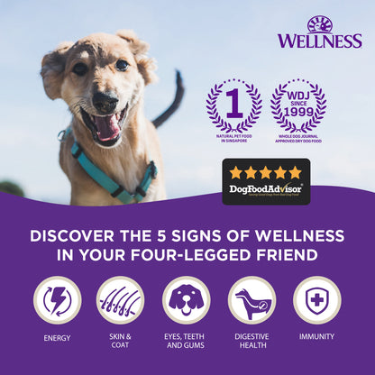 Wellness CORE Digestive Health Chicken & Brown Rice Small Breed Adult Dry Dog Food 12LB