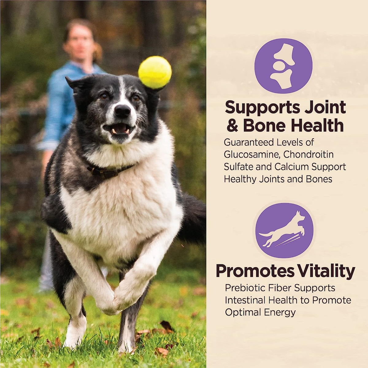 Wellness CORE Digestive Health Chicken & Brown Rice Puppy Dry Dog Food 24LB