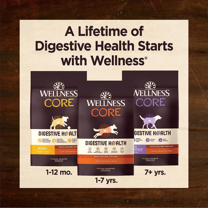 Wellness CORE Digestive Health Chicken & Brown Rice Puppy Dry Dog Food 24LB