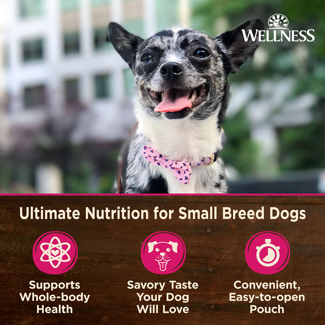 Wellness CORE Mini Meals Shredded Chicken & Turkey Grain Free Dog Food 3oz