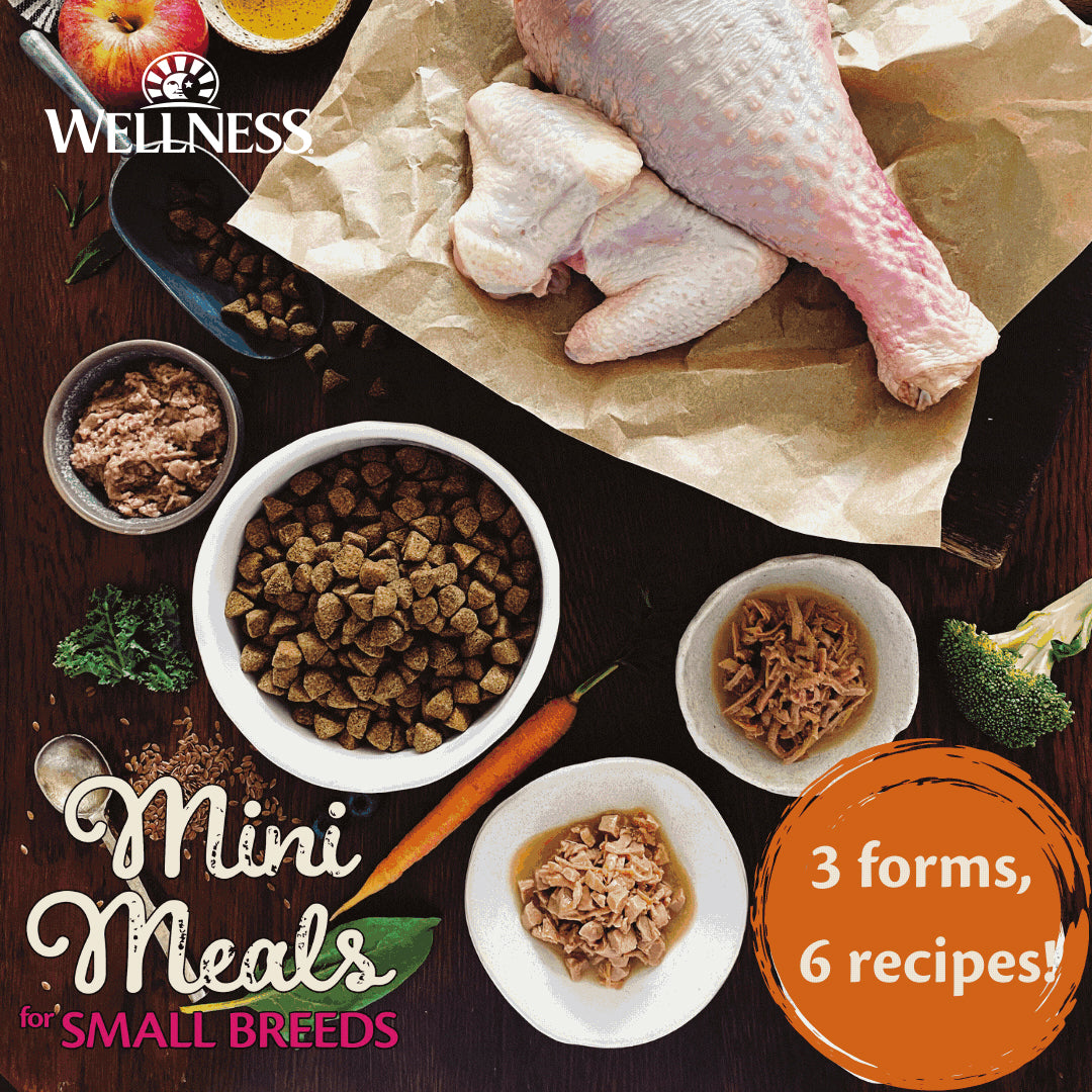 Wellness CORE Mini Meals Chunky Chicken & Tuna Grain Free Dog Food 3oz