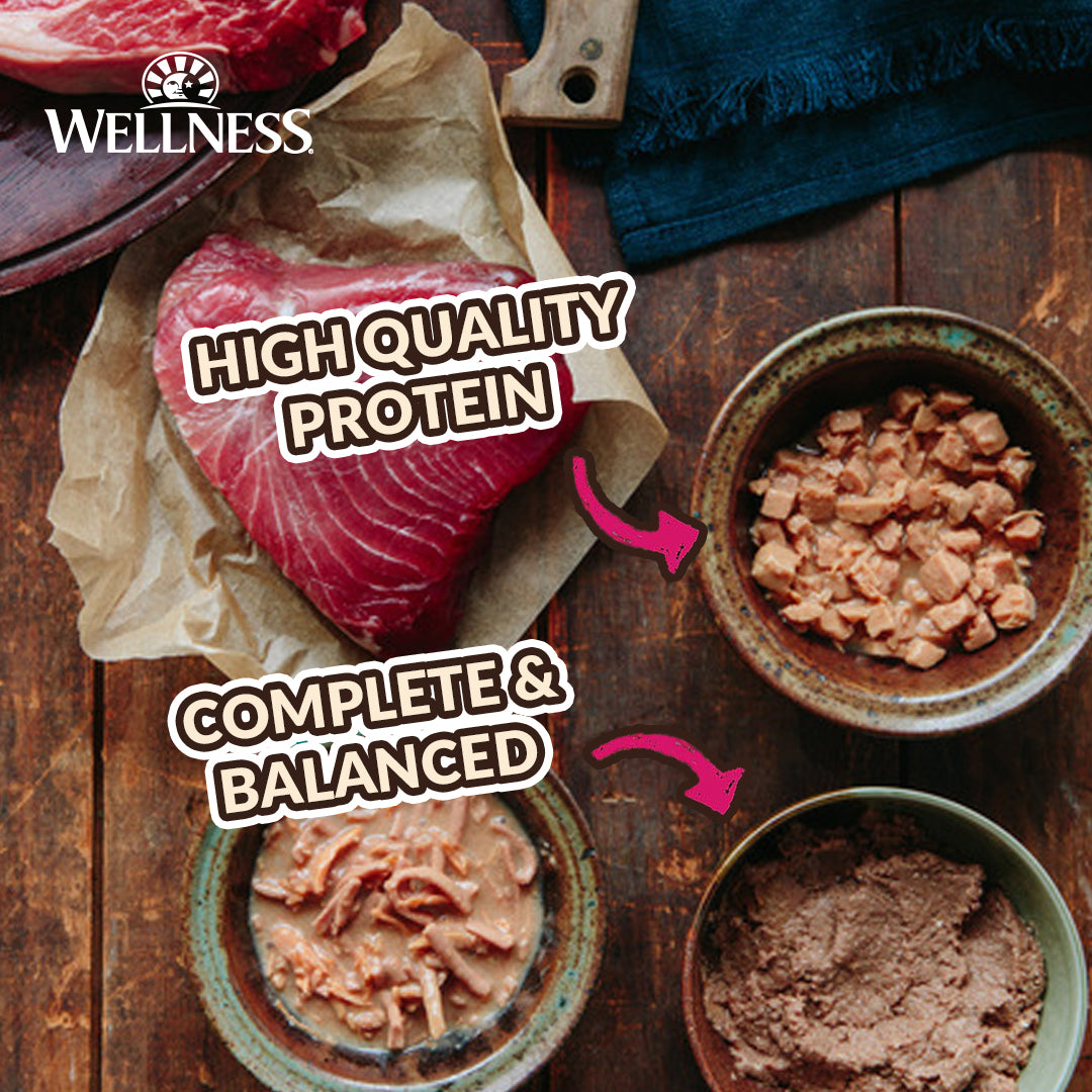 Wellness CORE Mini Meals Shredded Chicken & Lamb Grain Free Dog Food 3oz