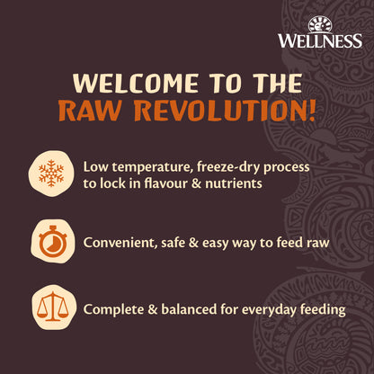 Wellness CORE RawRev Original Grain Free Adult Dry Dog Food