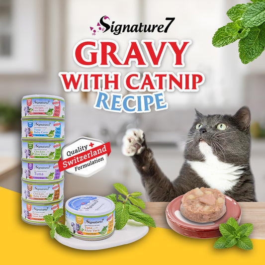 Signature7 Cat Wet Food in Gravy with Catnip 70g