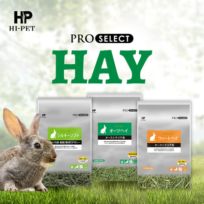 Hi‑Pet Pro‑Select Wheat Hay 600 g – Australian Premium Hay for Rabbits & Small Pets