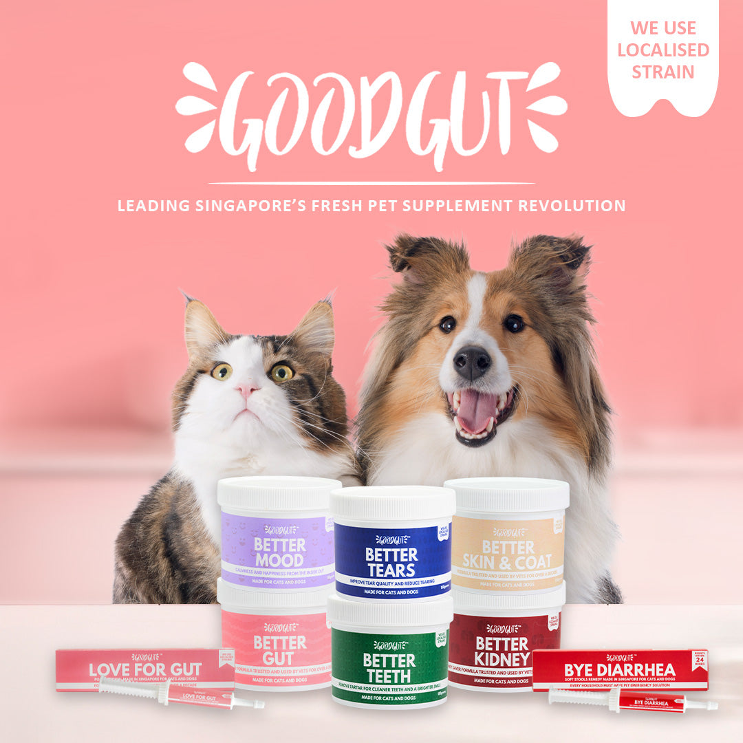 Good Gut Better Skin and Coat Probiotics Supplement for Cats and Dogs 150g