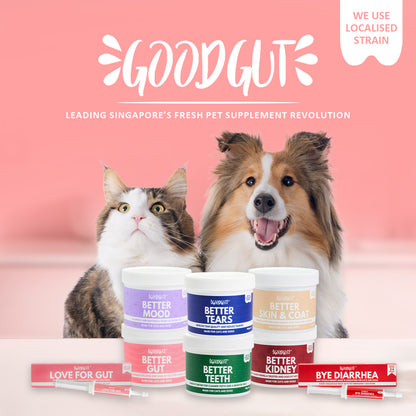 Good Gut Bye Diarrhea Gel Supplement for Cats and Dogs 15ml