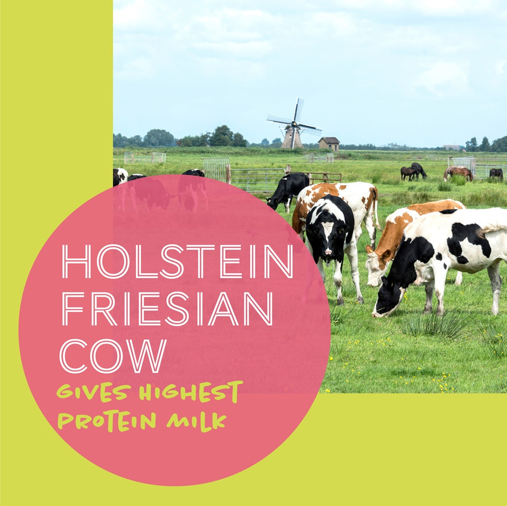 Daily Delight Moo Lactose Free Milk for Cats and Dogs 1 Litre