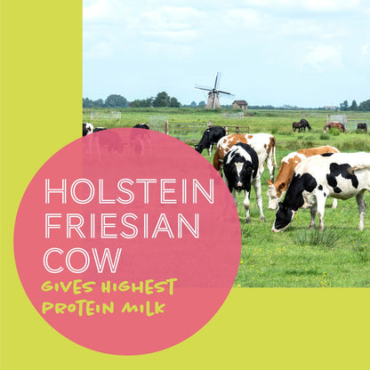 Daily Delight Moo Lactose Free Milk for Cats and Dogs 1 Litre