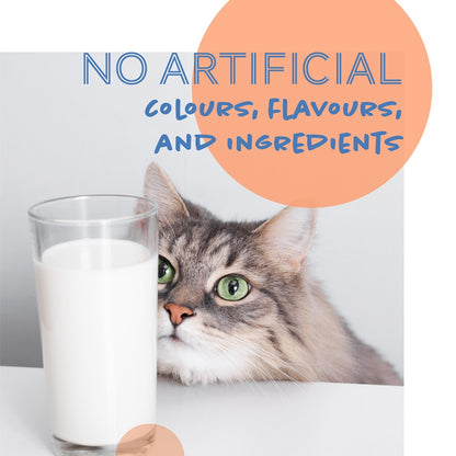 Daily Delight Moo Lactose Free Milk for Cats and Dogs 1 Litre