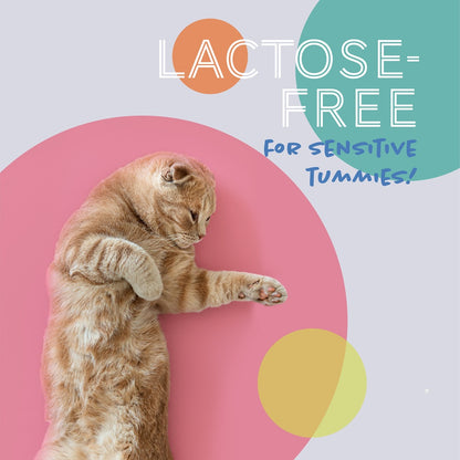 Daily Delight Moo Lactose Free Milk for Cats and Dogs 1 Litre