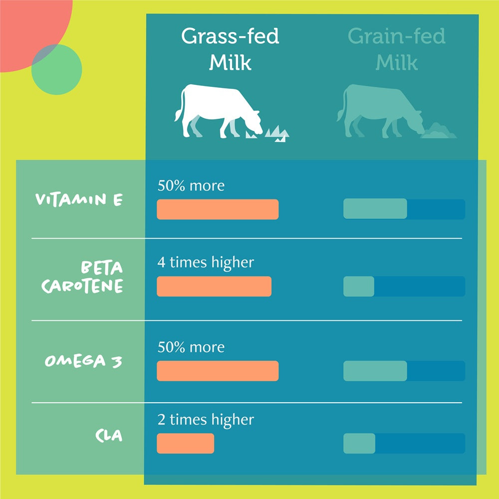 Daily Delight Moo Lactose Free Milk for Cats and Dogs 1 Litre