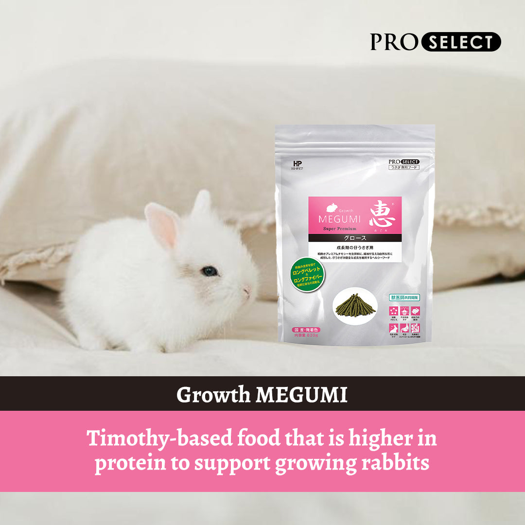 Hi‑Pet Timothy MEGUMI Growth 830 g – Premium Growth Support Hay for Rabbits & Small Pets