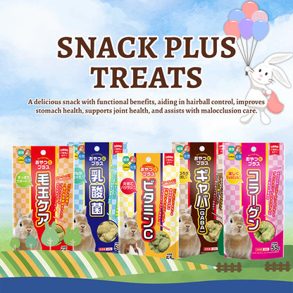 Hi-Pet Snack Plus Collagen Treats for Rabbits & Small Pets – 55g
