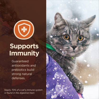 Wellness CORE Digestive Health Chicken & Brown Rice Adult Dry Cat Food