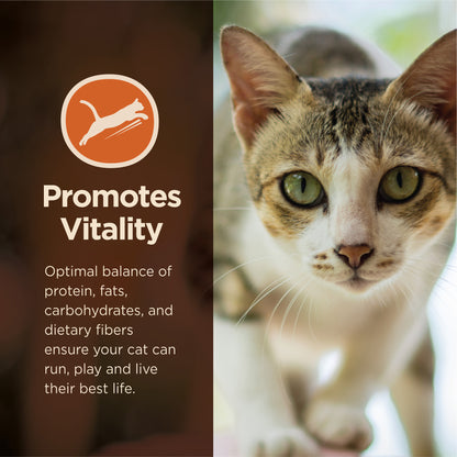 Wellness CORE Digestive Health Chicken & Brown Rice Adult Dry Cat Food