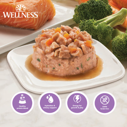 Wellness CORE Divine Duos Chicken Pate & Diced Duck in Gravy Wet Cat Food 2.8oz