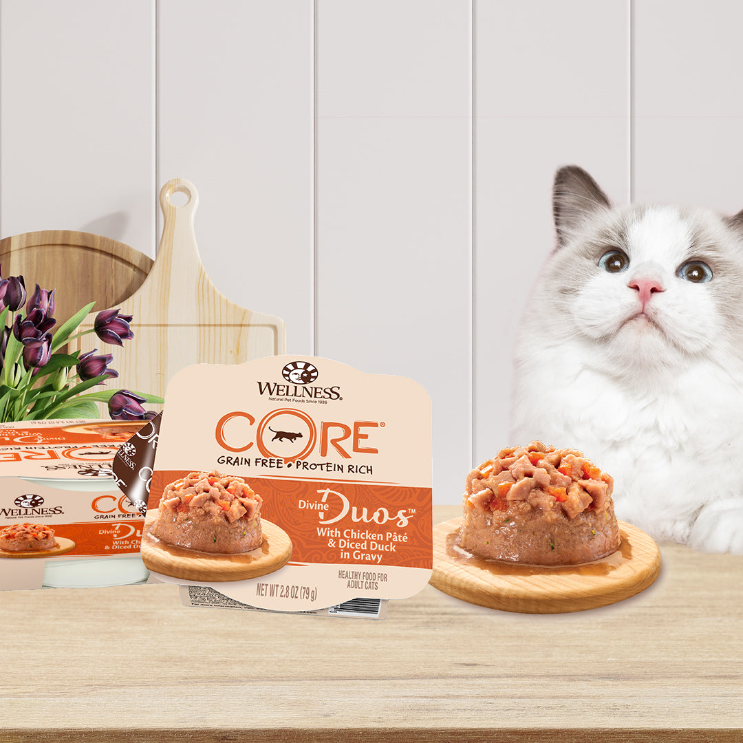 Wellness CORE Divine Duos Chicken Pate & Diced Duck in Gravy Wet Cat Food 2.8oz