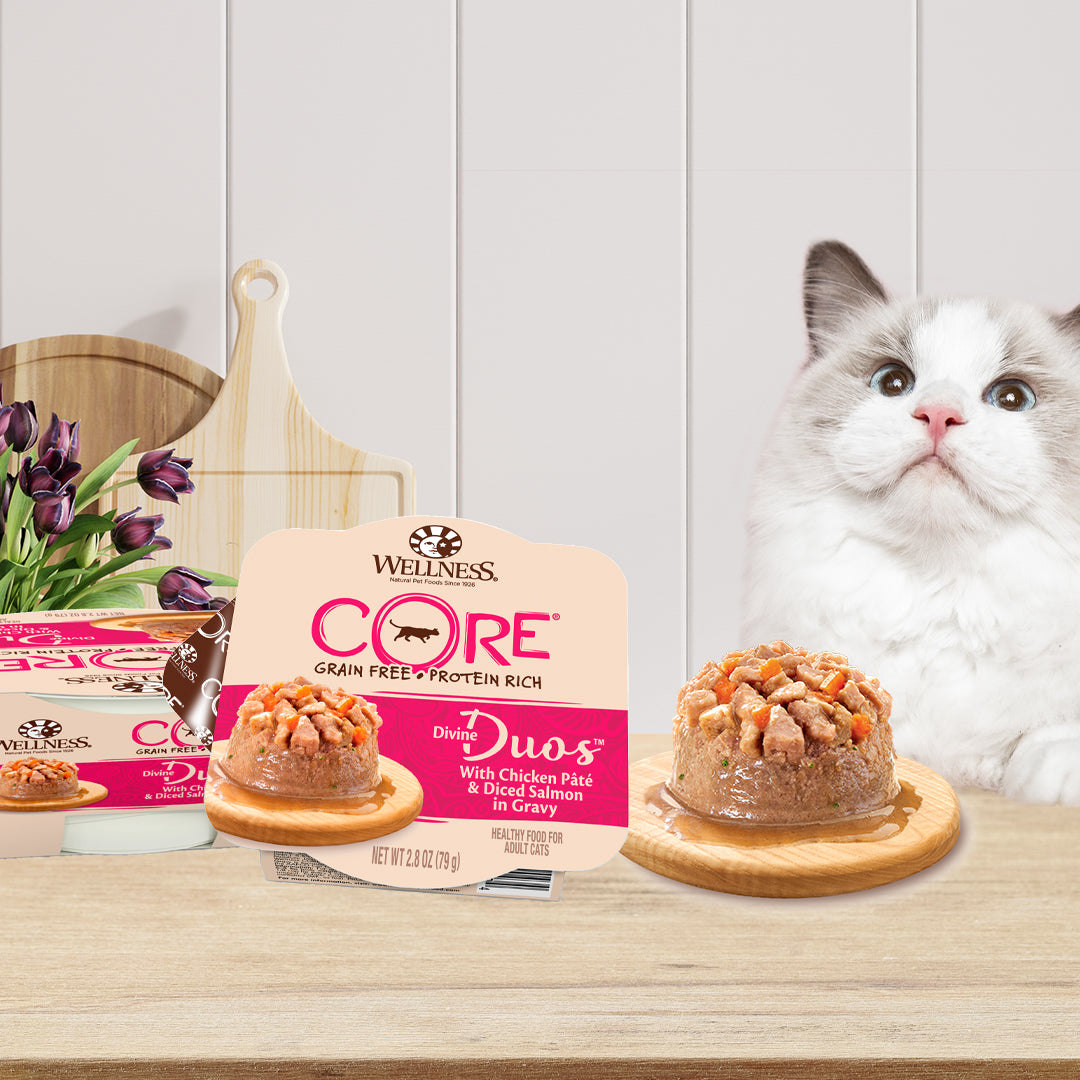 Wellness CORE Divine Duos Chicken Pate & Diced Salmon in Gravy Wet Cat Food 2.8oz