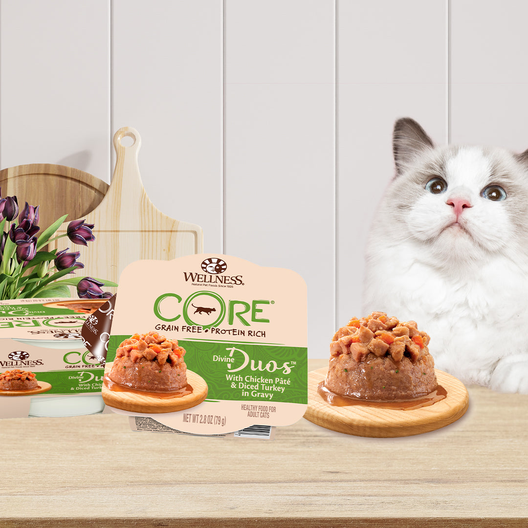 Wellness CORE Divine Duos Chicken Pate & Diced Turkey in Gravy Wet Cat Food 2.8oz