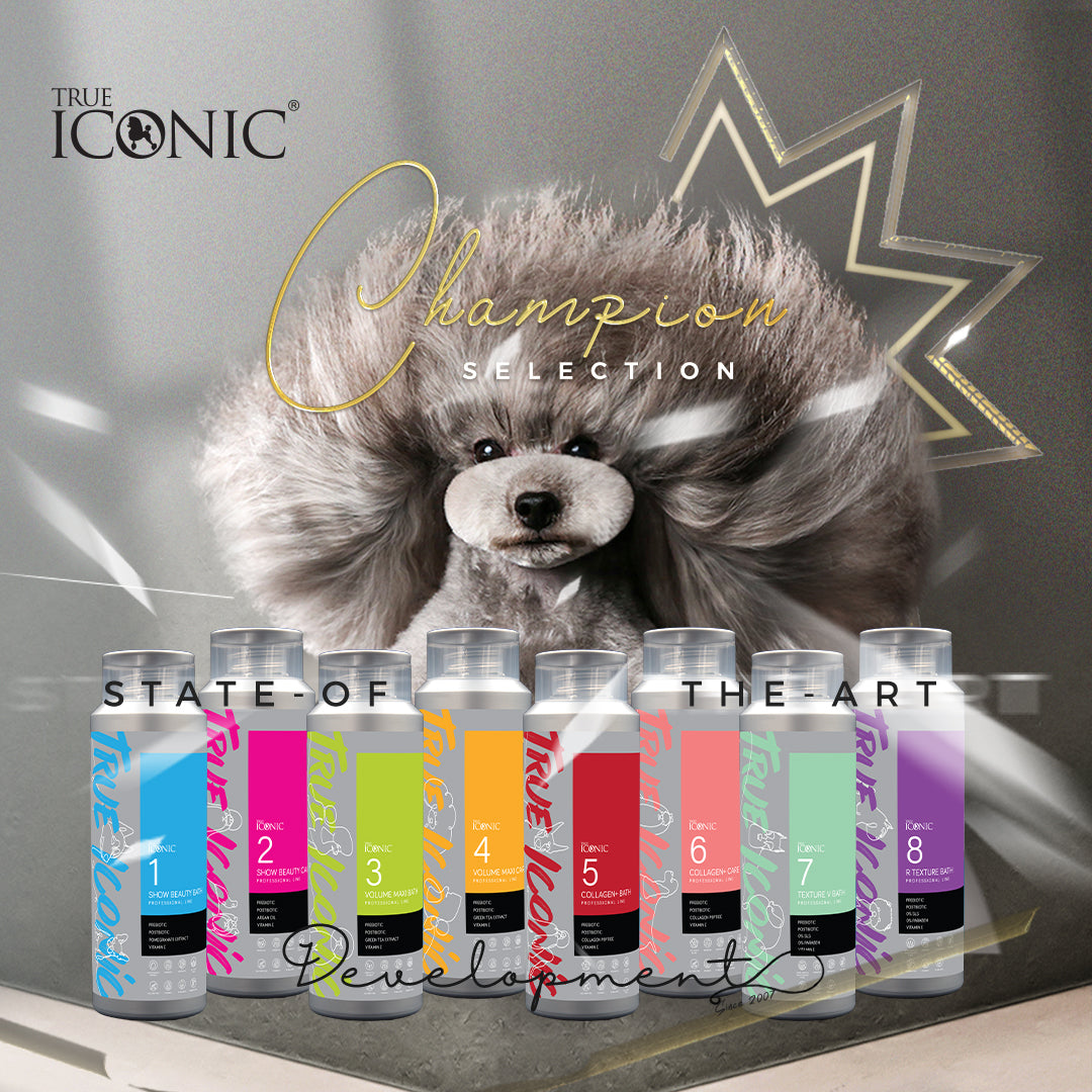 True Iconic R Texture Bath Dog Shampoo 400ml for Harsh and Wire Coats