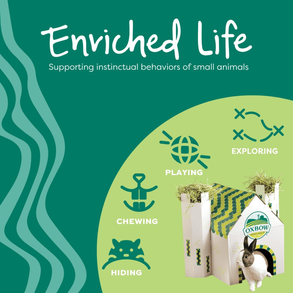 Oxbow Enriched Life Apple Stick Bundle for Small Pets