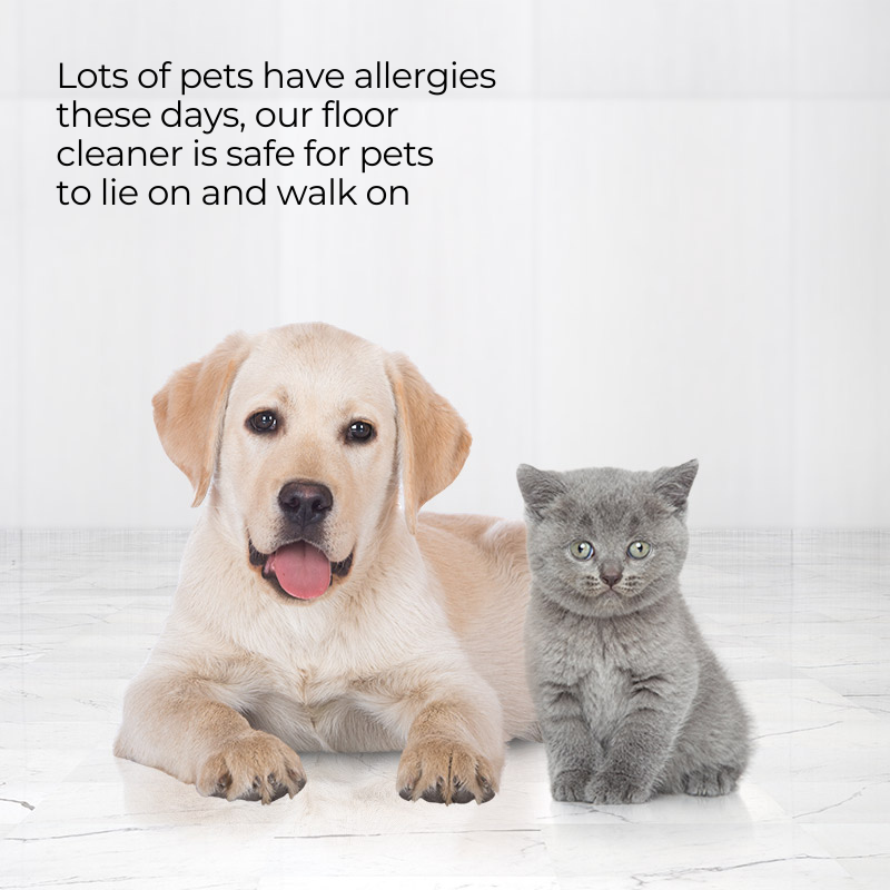 IDoCare Eucalyptus Garden Concentrated Floor Cleaner – Pet-Safe Formula