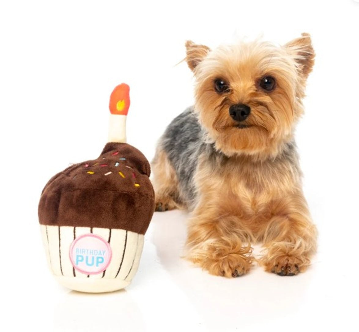 FuzzYard Birthday Cupcake Plush Dog Toy with Squeaker