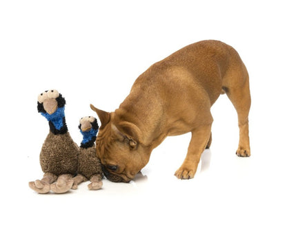 FuzzYard OZ The Emu Plush Dog Toy with Squeaker (small)