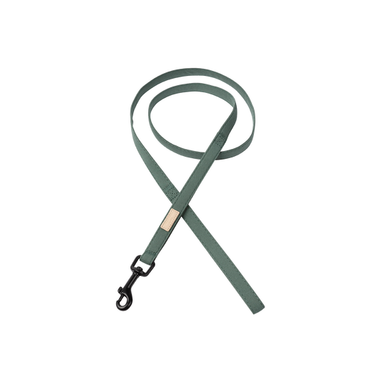 FuzzYard Life Dog Leash Soft Cotton Lead with 360 Degree Rotating Clasp - Myrtle Green