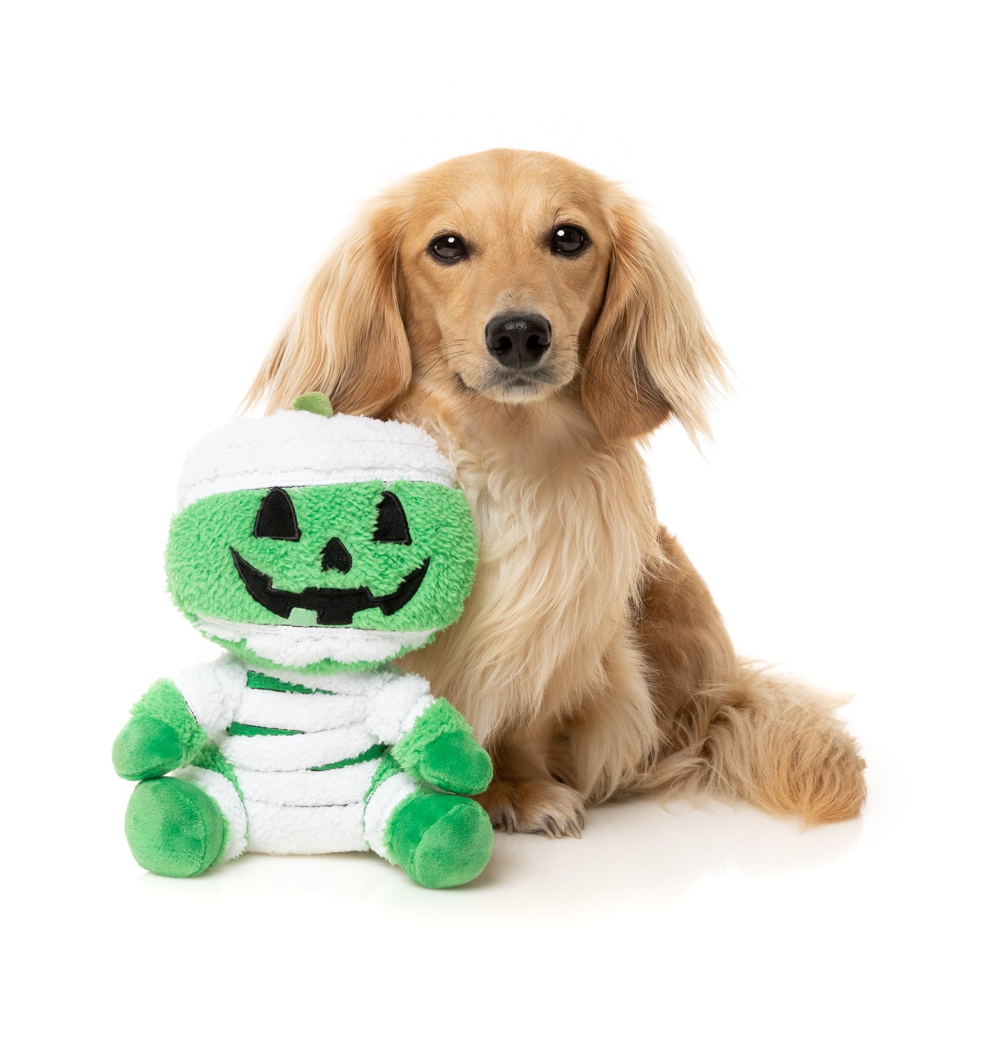 FuzzYard Halloween Jack O Chan Mummy Plush Dog Toy with Squeaker