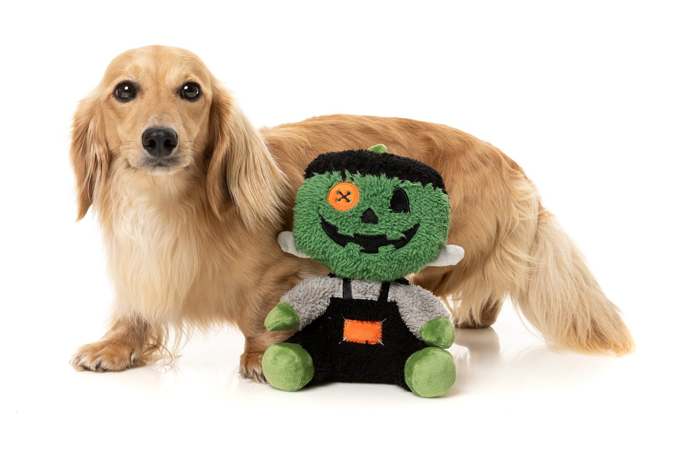 FuzzYard Halloween Jack O Chan Frankenstein Plush Dog Toy with Squeaker