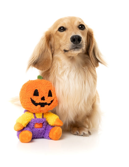 FuzzYard Halloween Jack O Chan Plush Dog Toy with Squeaker
